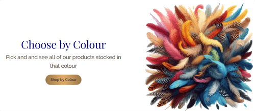 elegantfascinators-choosebycolour.png